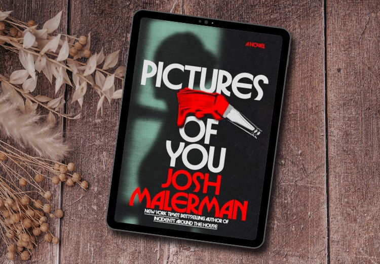 The cover of the book Pictures of You by Josh Malerman. The cover features the silhouette of a woman covered with a bright red brushstroke coming from a paintbrush.